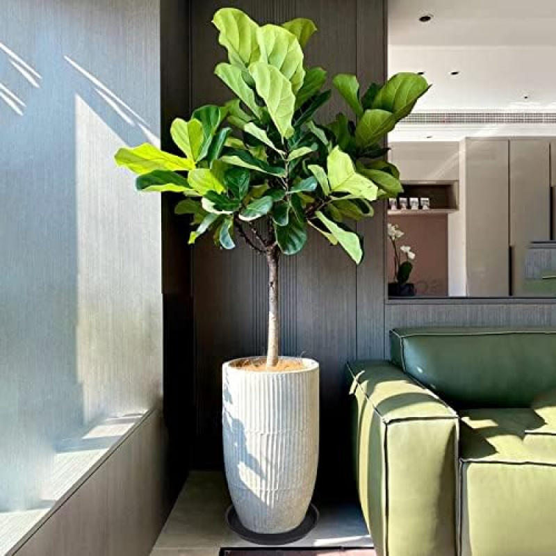Drip Tray Saucer - 4Pcs Heavy Duty Plastic Plant Saucers,