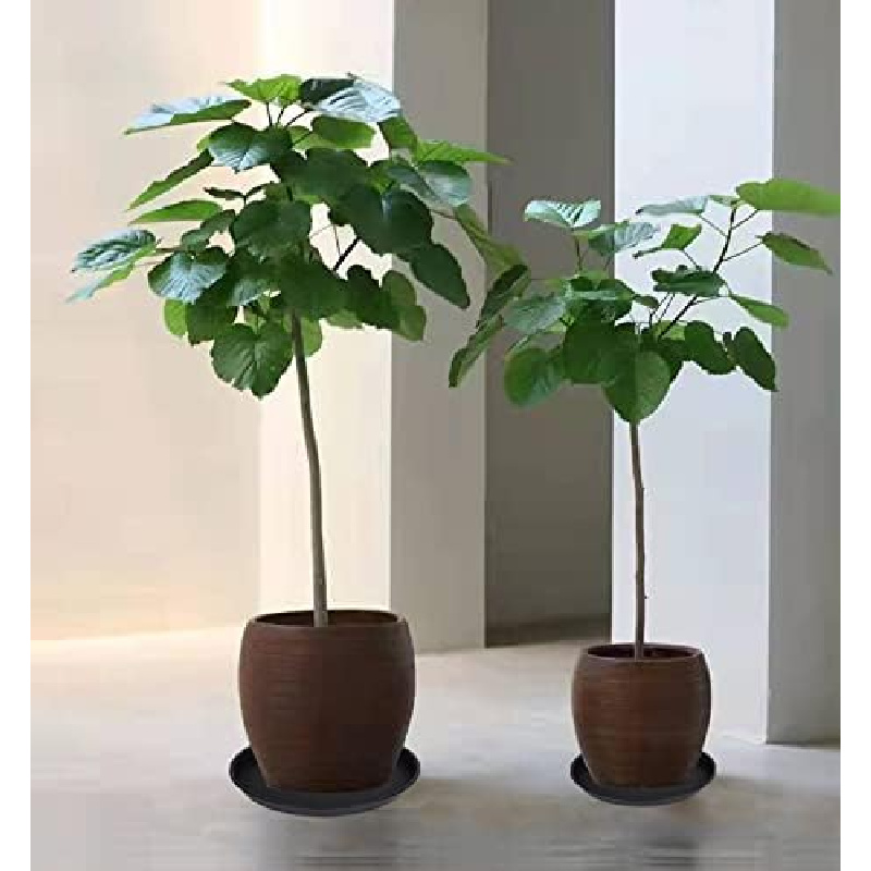 4Pcs Heavy Duty Plastic Plant  - Drip Tray Saucer ulasan dan harga